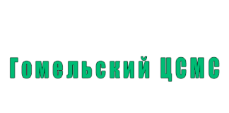 Гомельский центр стандартизации, метрологии и сертификации (gomelcsms.by) – официальный сайт