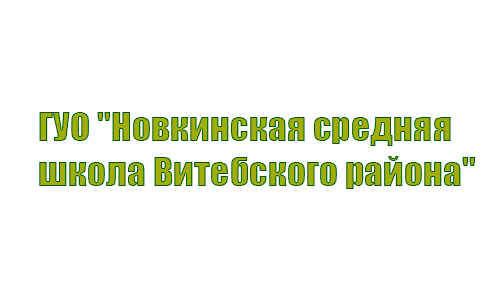 Новкинская средняя школа Витебского района (novka.schools.by) – личный кабинет